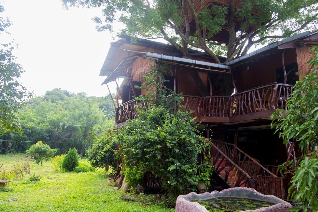 Anushka Nera Nature House Sigiriya Pokoj fotografie