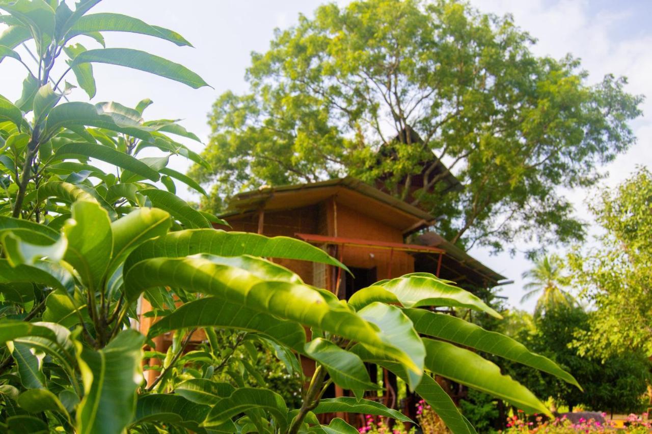 Anushka Nera Nature House Sigiriya Pokoj fotografie