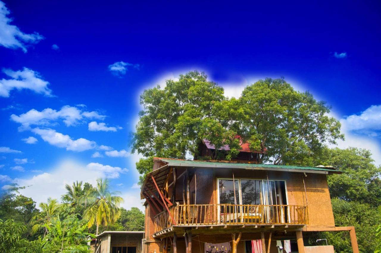 Anushka Nera Nature House Sigiriya Pokoj fotografie