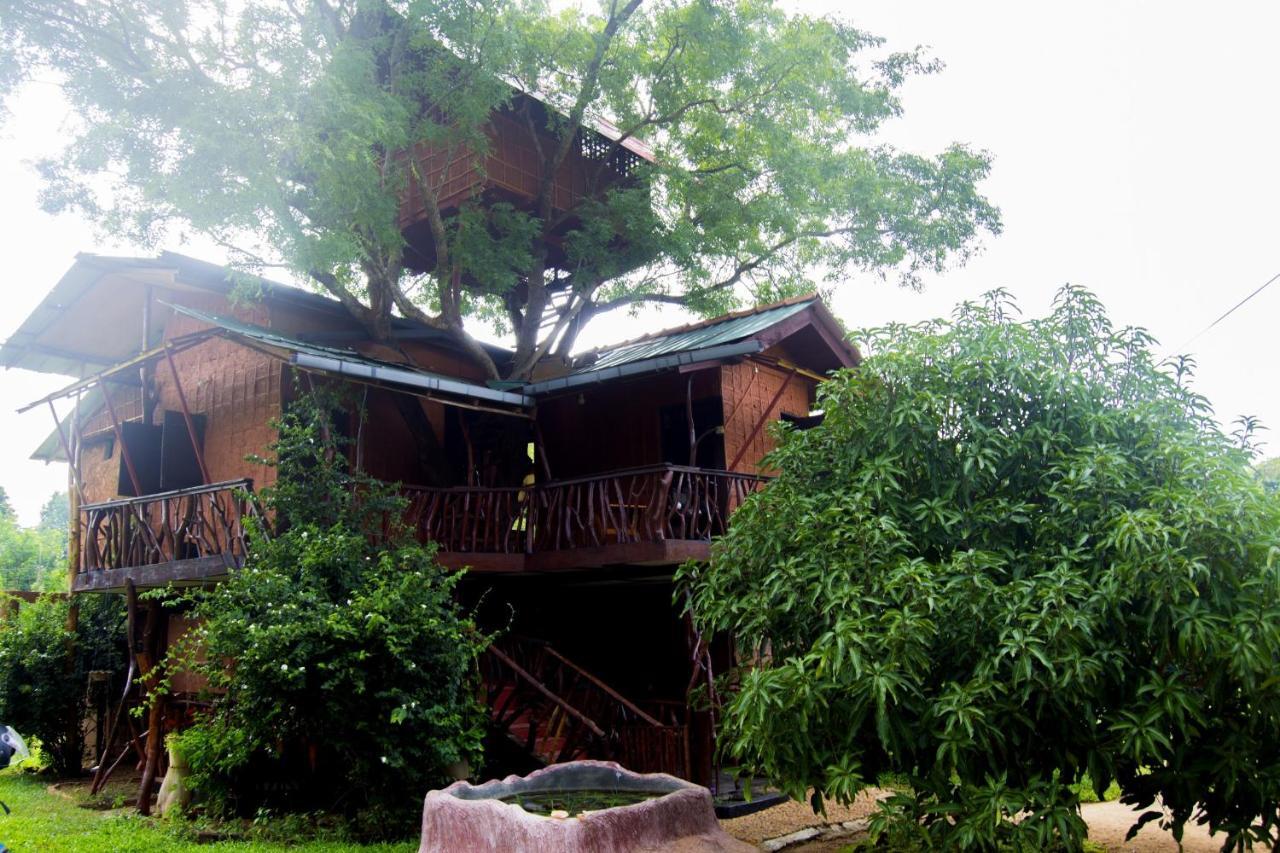 Anushka Nera Nature House Sigiriya Pokoj fotografie